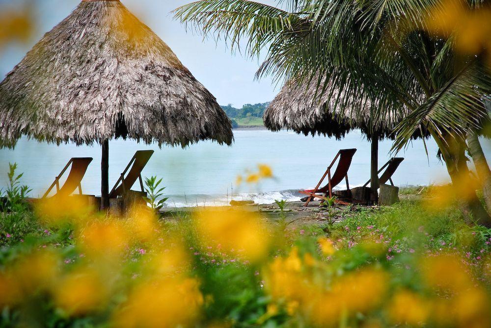 Iguana Lodge Beach Resort Puerto Jimenez Luaran gambar
