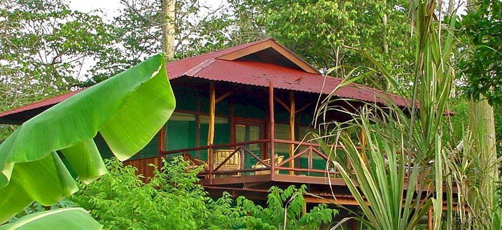Iguana Lodge Beach Resort Puerto Jimenez Luaran gambar