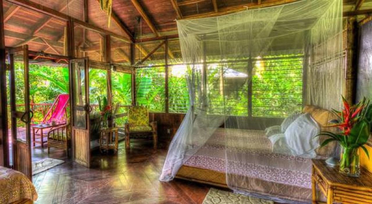 Iguana Lodge Beach Resort Puerto Jimenez Luaran gambar