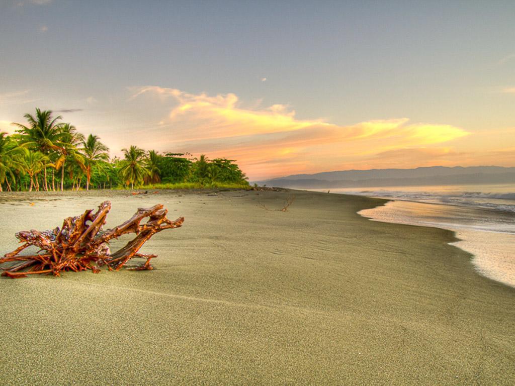 Iguana Lodge Beach Resort Puerto Jimenez Luaran gambar